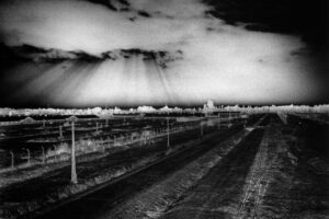 Birkenau Extermination Camp, PolandCOPYRIGHT JUDY GLICKMAN LAUDER, COURTESY OF PETER FETTERMAN GALLERY